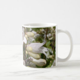Weiße Blume Tasse