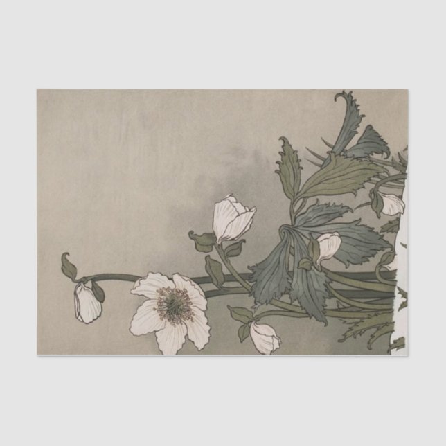 Weiße Blume von Eugene Grasset Seidenpapier (Vorderseite)