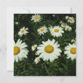 Weiße Blume zum Geburtstag Einladung