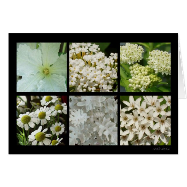 Weiße Blumen-Karte (Vorderseite (Horizontal))