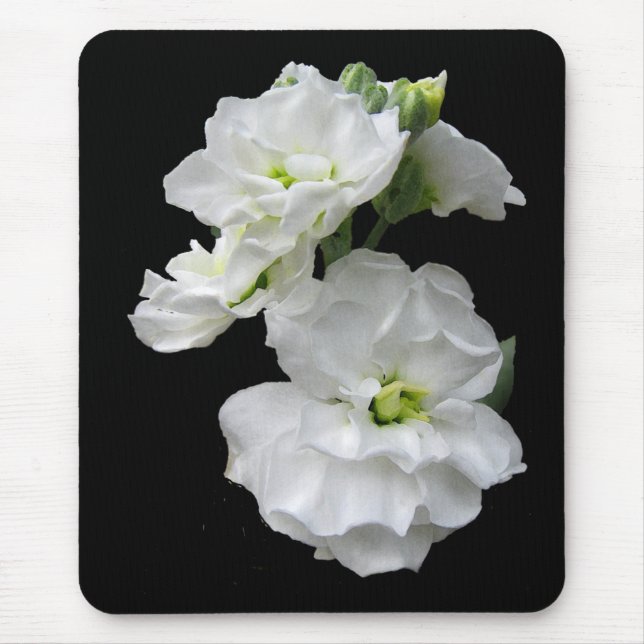 Weiße Blumen Mousepad (Vorne)