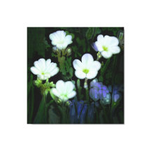 WEISSE BLUMEN STRETCHED CANVAS