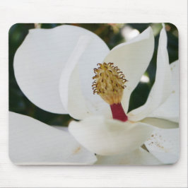 Weiße Blumengeschenkblüte der südlichen Magnolie Mousepad