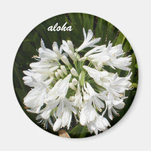 weiße Blüte aloha Magnet