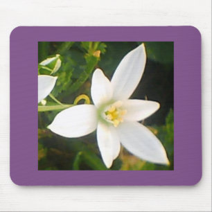 Weiße Blüte Mousepad