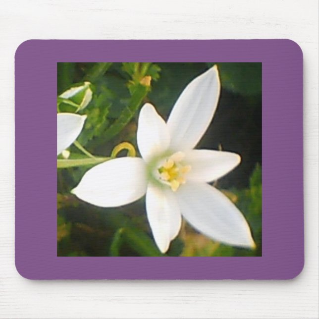 Weiße Blüte Mousepad (Vorne)