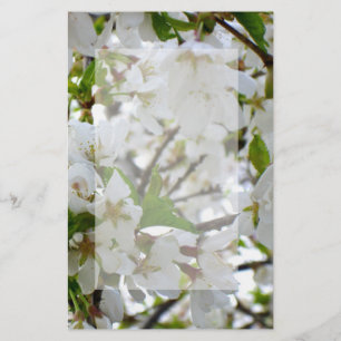 Weiße Blüten, blühender Kirschbaum Briefpapier