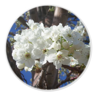 Weiße Blüten II Frühlingsblüte Baum Keramikknauf
