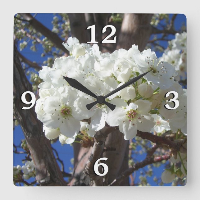 Weiße Blüten II Frühlingsblüte Baum Quadratische Wanduhr (Vorderseite)