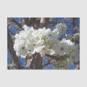 Weiße Blüten II Frühlingsblüte Baum Seidenpapier