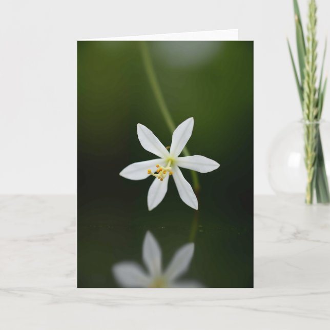 Weiße Blüten-Muttertags-Fotokarte Karte (Vorderseite)