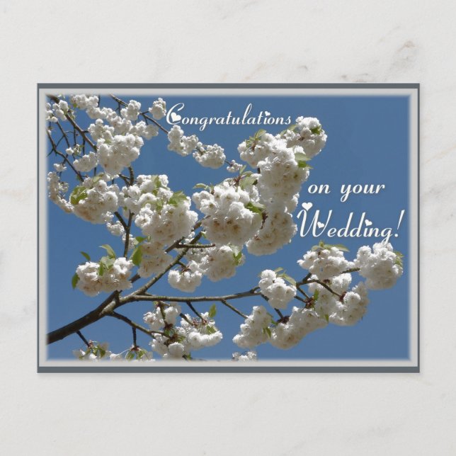 Weiße Blüten Postkarte (Vorderseite)