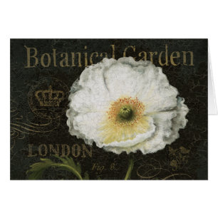 Weiße Blüten und Blätter