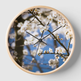 Weiße Blüten vor blauem Himmel Hintergrund Uhr