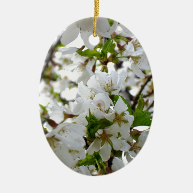 Weiße Blüten, weiße Blume mit eleganten weißen Blü Keramik Ornament (Vorne)