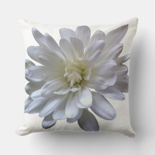 Weiße Blüten weiße Margerite weiße Chrysantheme we Kissen