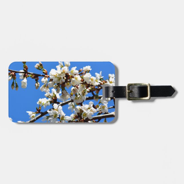 Weiße Blütenblumenblüte, weißer Frühlingsbaum Gepäckanhänger (Vorderseite horizontal)