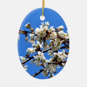 Weiße Blütenblumenblüte, weißer Frühlingsbaum Keramik Ornament