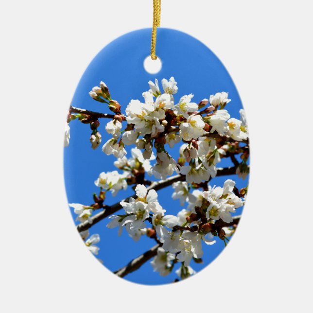Weiße Blütenblumenblüte, weißer Frühlingsbaum Keramik Ornament (Vorne)