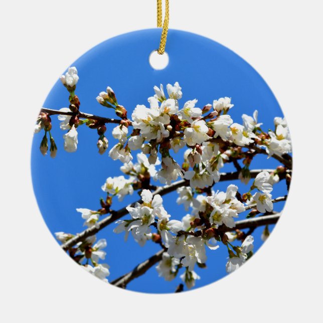 Weiße Blütenblumenblüte, weißer Frühlingsbaum Keramik Ornament (Vorne)