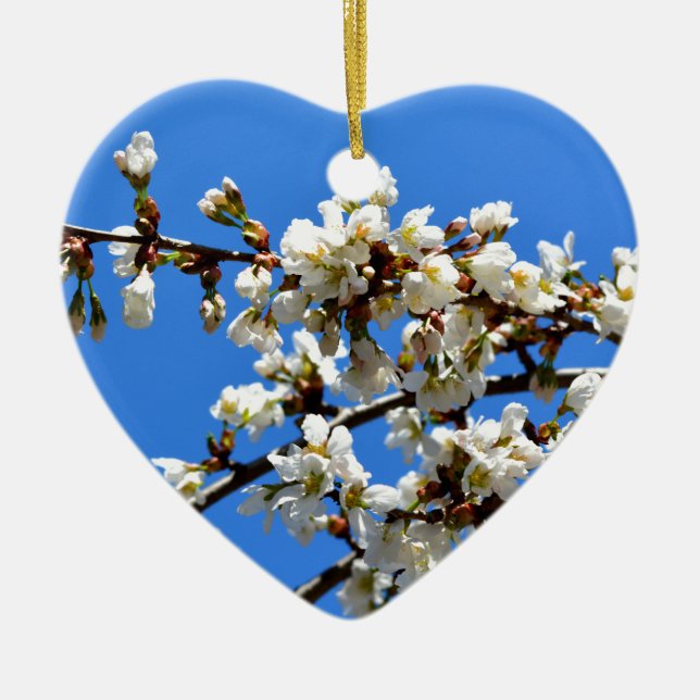 Weiße Blütenblumenblüte, weißer Frühlingsbaum Keramikornament (Vorne)