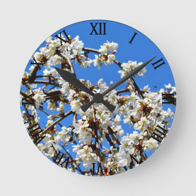 Weiße Blütenblüte, Kirschbaum Runde Wanduhr (Vorderseite)