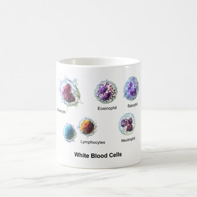 Weiße Blutkörperchen Leukozyten - Diagramm  Kaffeetasse (Mittel)