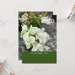 weiße Bougainvillea oder Paperblumenweiß als Schne Einladung