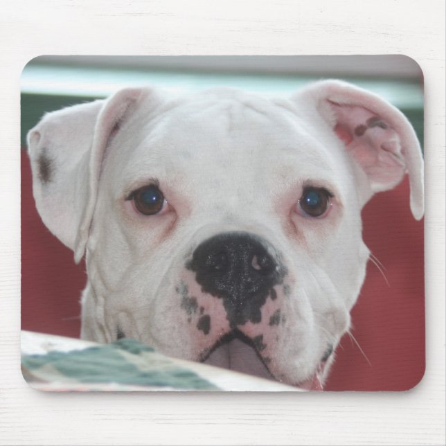 Weiße Boxer-HundeFoto-Mausunterlage Mousepad (Vorne)