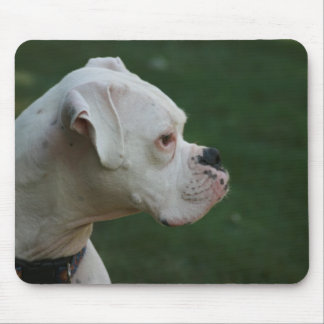 Weiße Boxer-HundeFoto-Mausunterlage Mousepad