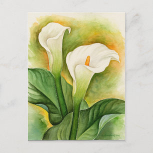 Weiße Cala-Lilien-Aquarellblumen Postkarte