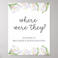 Weiße Calla-Blume - Wo waren sie?
