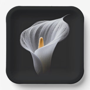 Weiße Calla-Lilie auf schwarz Pappteller