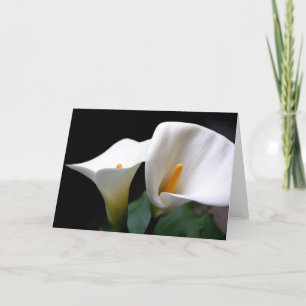Weiße Calla-Lilien-Blumen-Gruß-Karte Karte