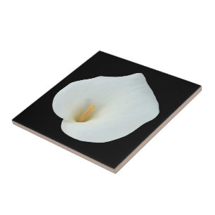 Weiße Calla-Lilien-Blumen-Hinterhof-Garten-Foto Fliese