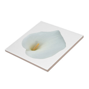 Weiße Calla-Lilien-Blumen-Hinterhof-Garten-Foto Fliese