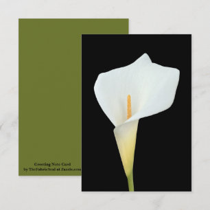 Weiße Calla-Lilien-Blumen-Hinterhof-Gartenfoto Karte
