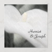 Weiße Calla-Lilien-elegante Hochzeits-Einladung