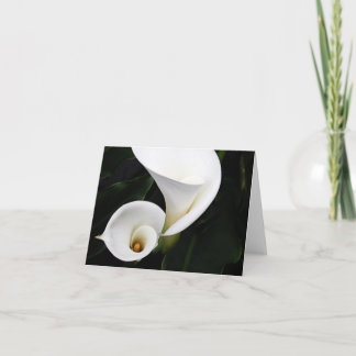 Weiße Calla Lilien Karte