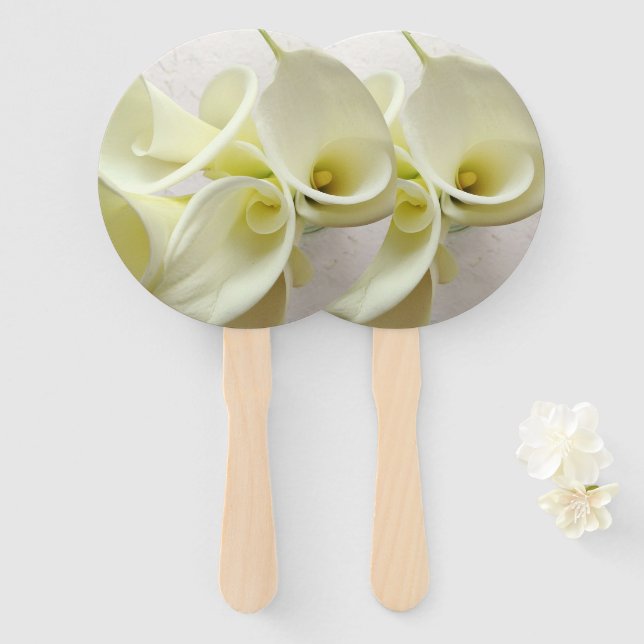 Weiße Calla-Lilien von oben Fächer (Vorne und Hinten)
