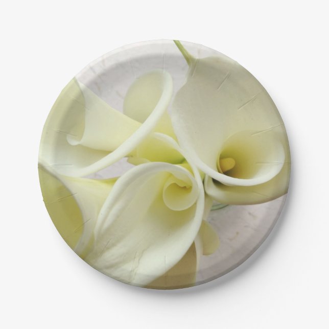 Weiße Calla-Lilien von oben Pappteller (Vorderseite)