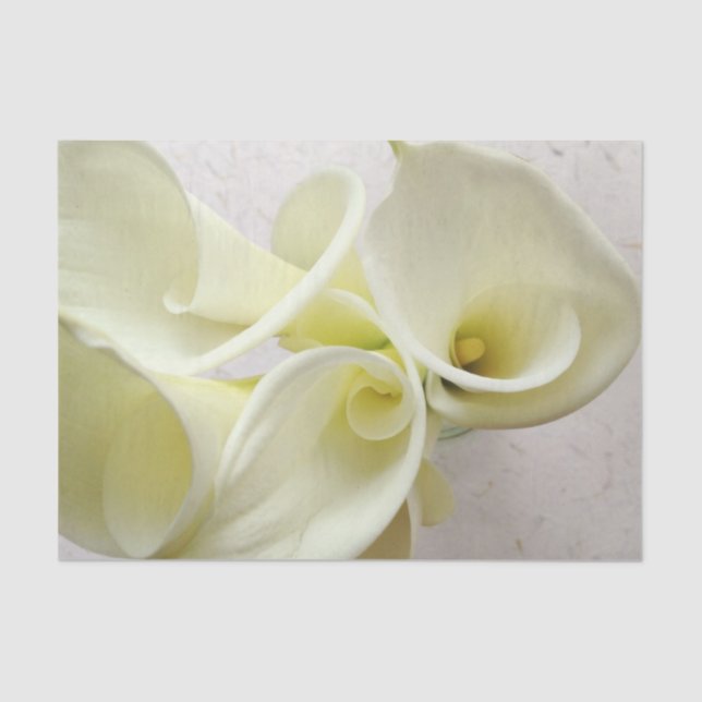 Weiße Calla-Lilien von oben Seidenpapier (Vorderseite)
