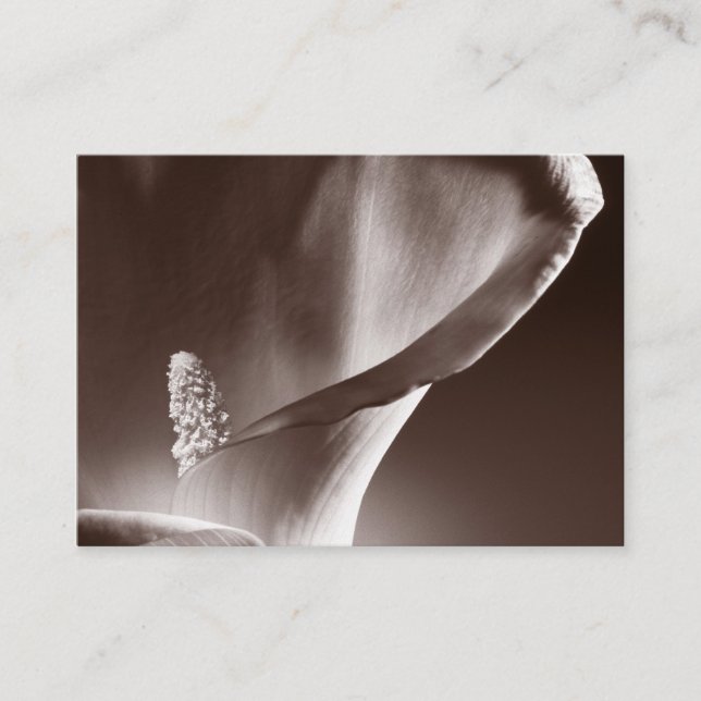 Weiße Calla Lily Blume Schwarzer Hintergrund Visitenkarte (Vorderseite)