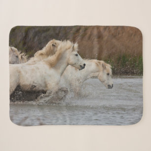 Weiße Camargue-Pferde laufen im Wasser Sherpadecke