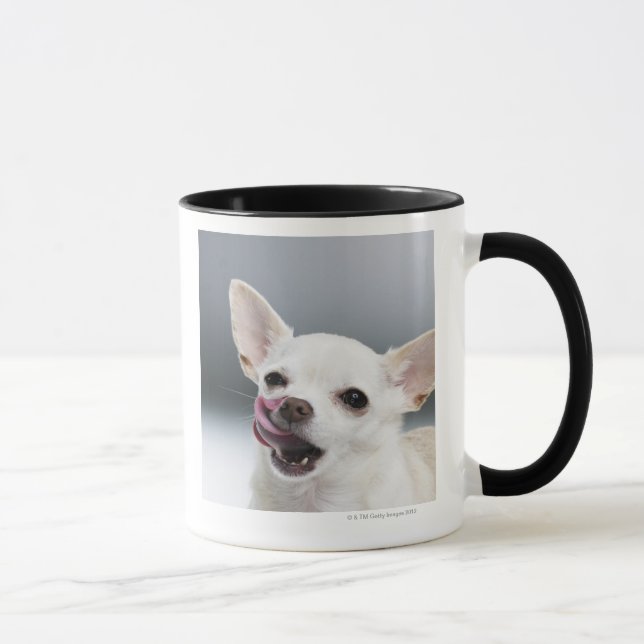 Weiße Chihuahua, die Lippen lecken Tasse (Rechts)