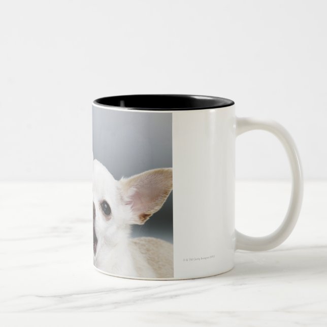 Weiße Chihuahua, die Lippen lecken Zweifarbige Tasse (Rechts)