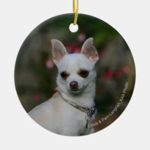 Weiße Chihuahua Keramikornament
