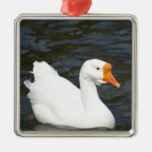 Weiße chinesische Gans Ornament Aus Metall
