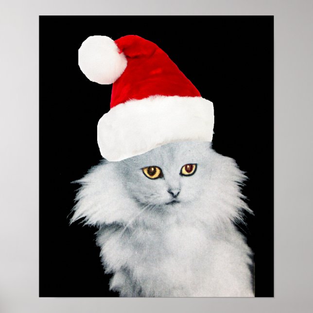 WEISSE CHRISTMAS KATZE MIT SANTA CLAUS HAT POSTER (Vorne)