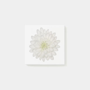 Weiße Chrysantheme-Haftnotizen Post-it Klebezettel